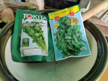 2022年3月15日(火)の作業記録 (午前中のみの作業、ピーマン発芽、ジャガイモの植え付け作業完了、枝豆とパクチーの播種作業、除草作業)