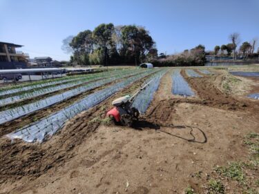 2022年3月24日(木)の作業記録 (除草作業メイン)