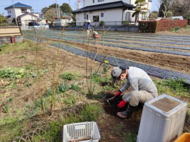 2022年3月25日(金)の作業記録 (除草作業メイン)