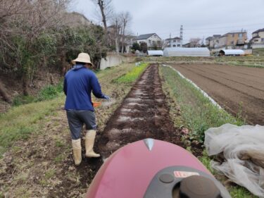 2022年3月29日(火)の作業記録 (午前中のみの作業、トラクター耕耘作業、除草作業、畑作業ミーティング)