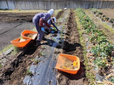 2022年4月6日(水)の作業記録 (斉藤さん畑の給水ポンプ始動作業、ニラの株分け移植作業)