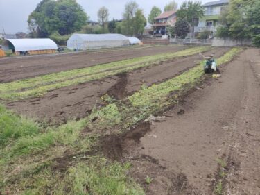 2022年4月18日(月)の作業記録 (収穫作業メイン、小松菜等の菜花をハンマーナイフモアで粉砕撤去作業)