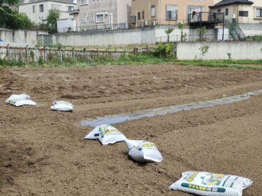 2022年5月6日(金)の作業記録 (鈴木さん畑の除草作業、斉藤さんの上の畑に肥料等を撒いてトラクターで耕耘作業)