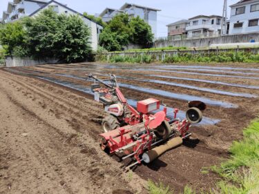 2022年6月1日(水)の作業記録 (玉ねぎ抜き作業開始、夏野菜マルチ張り作業)