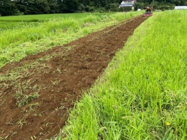 2022年7月21日(木)の作業記録 (小溝畑でトラクター耕耘、除草作業)