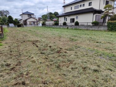 2022年7月7日(木)の作業記録 (長茄子・モロヘイヤ・大長夕顔 今季初収穫、丹波黒大豆の摘芯作業と追加定植作業、鈴木さん畑をハンマーナイフモアで除草とマルチ剥がし作業)