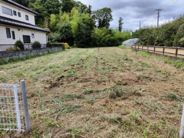 2022年7月8日(金)の作業記録 (鈴木さん畑のマルチ剥がし作業)