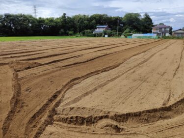 2022年7月27日(水)の作業記録 (小溝畑をトラクターで耕耘作業、岩槻ネギ植え替え準備作業、オクラの間引き作業、除草作業)