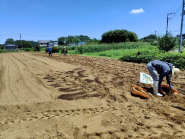 2022年7月29日(金)の作業記録 (小溝畑をトラクターで耕耘、小溝畑の一部に鶏糞と牛糞堆肥を撒き更に耕耘作業、除草作業)