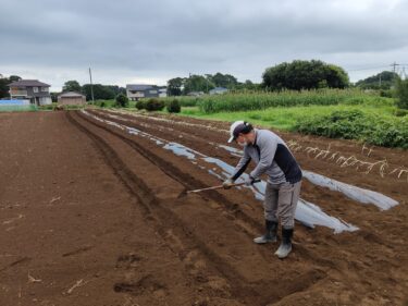 2022年8月4日(木)の作業記録 (小溝畑で岩槻ネギ移植作業、小溝畑で長ネギ畝作り、散水ポンプエンジンオイル交換作業、除草作業)