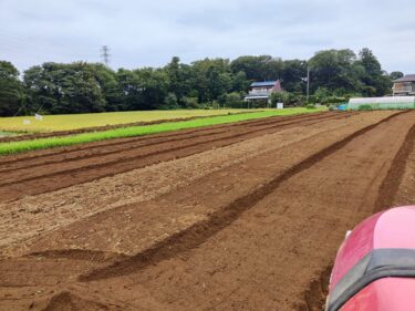 2022年8月30日(火)の作業記録 (除草作業、小溝畑トラクター耕耘作業)