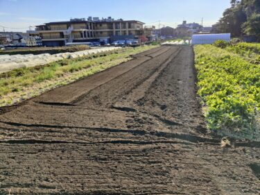 2022年11月7日(月)の作業記録 (ツルムラサキ・空芯菜のマルチ剥がし作業、マルチを剥がした後にトラクター耕耘作業)