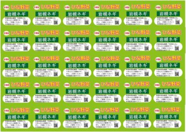 2022年12月1日(木)の作業記録 (葉玉ねぎ植え付け作業、ちぢみほうれん草の除草作業、野菜ラベル作り作業)