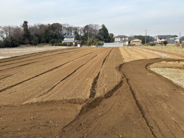 2023年1月13日(金)の作業記録 (小溝畑でトラクター耕耘作業、玉ねぎマルチ剥がれ防止対策作業)