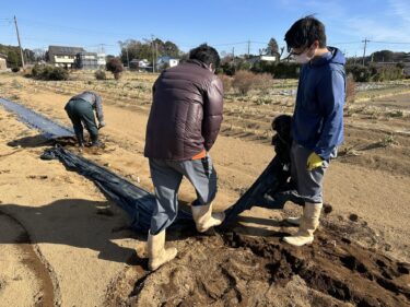 2023年2月2日(木)の作業記録 (鈴木さん畑のビニールハウス内の除草作業)