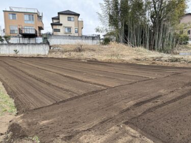 2023年2月3日(金)の作業記録 (収穫作業メイン、トラクター耕耘作業)