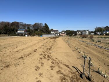 2023年2月9日(木)の作業記録  (小溝畑の大根は全て収穫が終了、午後は畑作業ミーティングメインの作業)