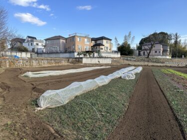 2023年2月20日(月)の作業記録 (鈴木さん畑のビニールハウスの防鳥対策作業、斉藤さん各畑をトラクター耕耘作業)