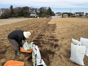 2023年3月1日(水)の作業記録 (小溝畑に鶏糞と牛糞堆肥を撒いてトラクターで耕耘作業)