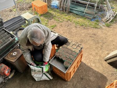 2023年3月2日(木)の作業記録 (長茄子・水茄子・シシトウの播種作業)