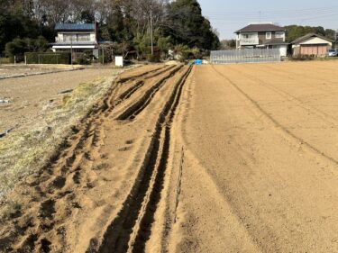 2023年3月8日(水)の作業記録 (ほうれん草周りの除草作業、鈴木さん畑の土壌EC・pH・地温測定、小溝畑で土寄せ機の運転練習作業)