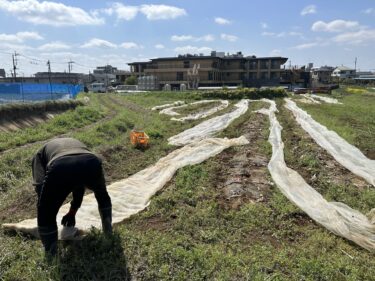 2023年3月29日(水)の作業記録 (防虫ネット片付け作業、トラクター耕耘作業、玉ねぎ畝の除草作業)