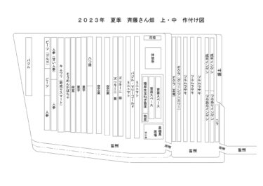 2023年4月24日(月)の作業記録 (ジャガイモ畝周りの除草、本長茄子と緑茄子の間引き作業、2023年夏季畑作付け図作り)