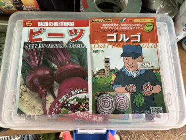 2023年4月6日(木)の作業記録 (ビーツと人参の播種作業)