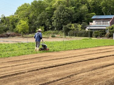 2023年4月19日(水)の作業記録 (アスパラガス畝周りの除草作業、小溝畑の除草作業とトラクター耕耘作業)