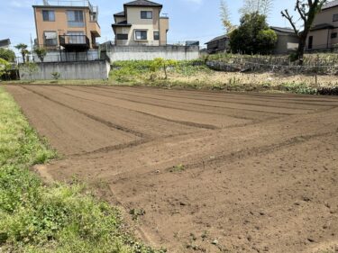 2023年4月21日(金)の作業記録 (ゴーヤ・赤じそ・青じそ・そうめんかぼちゃ・キュウリの播種作業、トラクター耕耘作業)