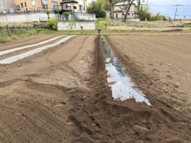 2023年4月25日(火)の作業記録 (鈴木さん畑の空きスペースをトラクターで耕耘、枝豆畝作り作業、ジャガイモ畝周りの除草作業)