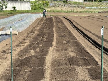 2023年5月10日(水)の作業記録 (里芋の植え付け作業、除草作業、トラクター耕耘作業)