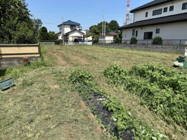 2023年7月11日(火)の作業記録 (鈴木さん畑の除草作業、赤飯ささげ播種作業)