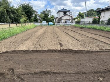 2023年8月17日(木)の作業記録 (吉岡さん畑の玉ねぎ畝の除草とマルチ剥がし等、鈴木さん畑をトラクターで耕耘作業)