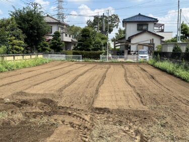 2023年8月18日(金)の作業記録 (吉岡さん畑で玉ねぎの収穫と除草とマルチ剥がし作業、鈴木さん畑に肥料を撒いてトラクターで耕耘作業)