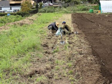 2023年9月21日(木)の作業記録 (玉ねぎのマルチ剥がし作業、玉ねぎ跡地トラクター耕耘作業)