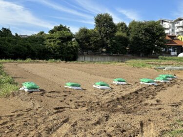 2023年9月25日(月)の作業記録 (里芋畝の除草土寄せ作業、鶏糞・牛糞堆肥購入、玉ねぎ跡地等をトラクターで耕耘作業)