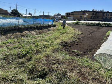 2023年10月16日(月)の作業記録 (玉ねぎの播種作業、除草作業)