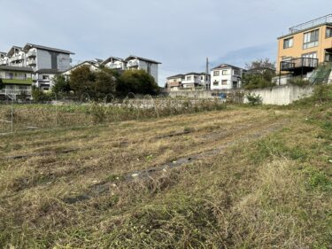 2023年11月6日(月)の作業記録 (ニラ畝の除草作業、ゴーヤの撤去作業)