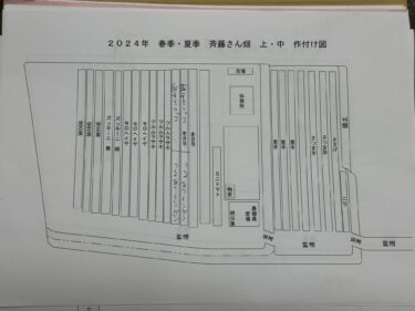 2023年11月7日(火)の作業記録 (里芋畝の除草作業、来年の作付け予定案作り)