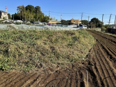 2023年11月8日(水)の作業記録 (除草作業メイン)