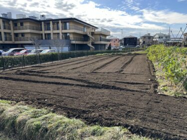 2023年12月1日(金)の作業記録 (玉ねぎ用に鶏糞・牛糞堆肥・有機石灰を撒いてトラクター耕耘作業、大根畝周りのやホーム玉ねぎ周りの除草作業、緑茄子の撤去作業)