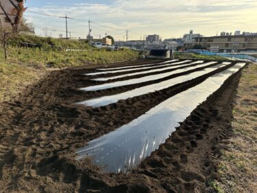 2023年12月14日(木)の作業記録 (マルチシーダーの幅を95cmから135cmマルチ用に変更、玉ねぎ用のマルチ張り作業)