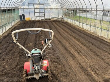 2024年2月2日(金)の作業記録 (収穫作業メイン、野菜残渣処理作業、鈴木さん畑のビニールハウス内の耕耘作業)