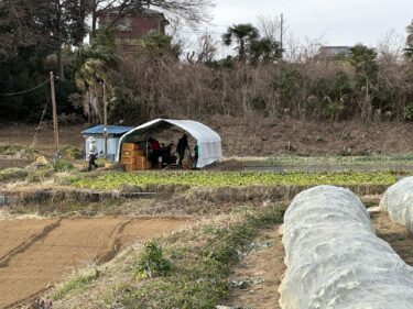 2024年2月15日(木)の作業記録 (午前中は収穫作業メイン、野菜残渣処理作業)