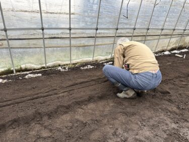 2024年3月6日(水)の作業記録 (長ネギと茄子の播種作業)