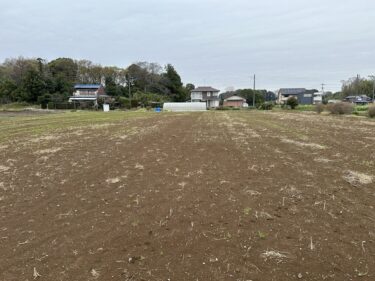 2024年4月5日(金)の作業記録 (寒咲花菜の撤去作業、除草作業、小溝畑視察)