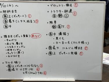 2024年4月9日(火)の作業記録 (大雨の為に畑作業は中止、畑作業ミーティング、畑関連の買い物作業)