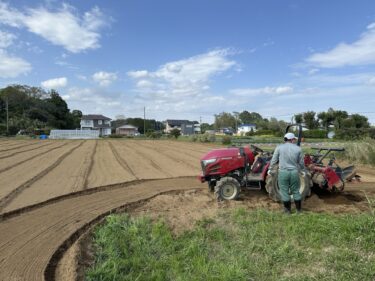 2024年4月16日(火)の作業記録 (除草作業、人参の播種作業、小溝畑をトラクターで耕耘作業)