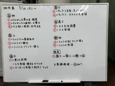 2024年5月13日(月)の作業記録 (雨の為に午前中の畑作業は中止、室内畑ミーティング、赤じその播種作業等)